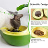 Automatic Drinking Water Bottle Pet Feeder Avocado Shape Kitten Slow Food Feeding Bowl Small Pets Feeder